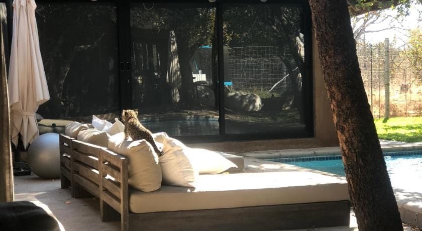 Simba Safaris African Pride Exotic Lodge Hotel in South Africa