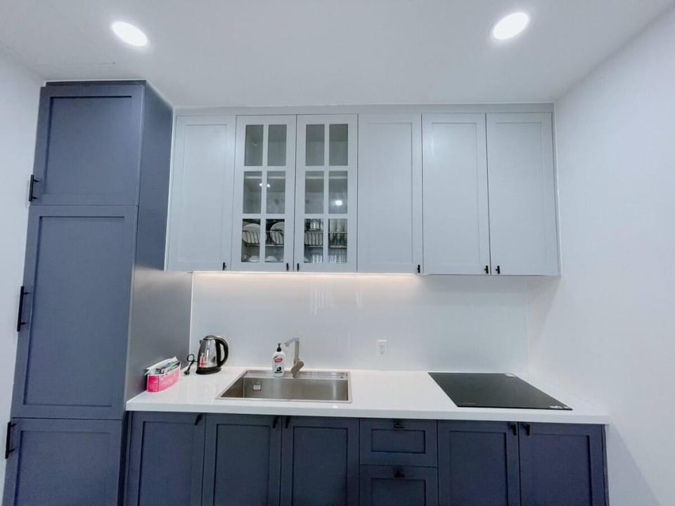 Two Bed-Room Apartment Apartment in Ho Chi Minh City