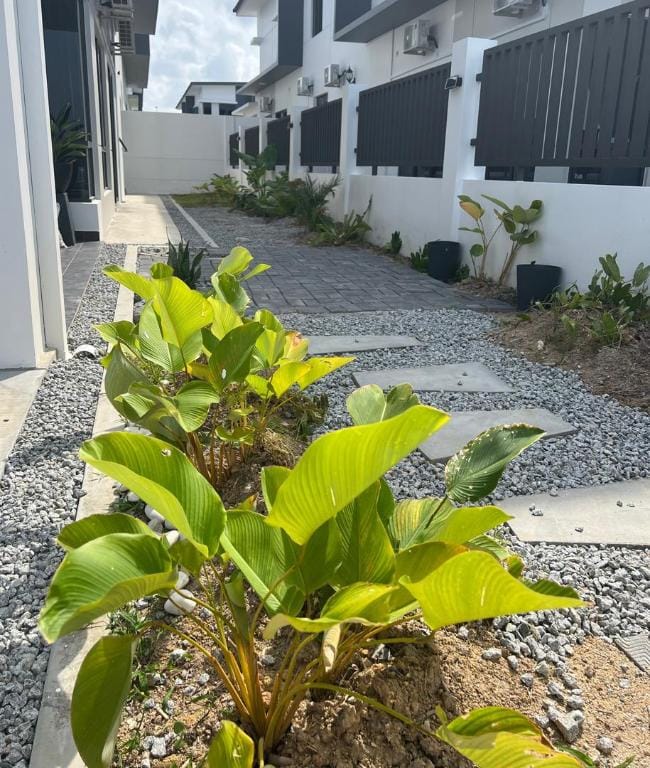 Chill-out @ SiRaM-MaRiS, Desaru (5 mins to beach) Vacation rental in Johor