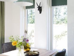 Terraced Home in Netherlands near Veluwe Vacation rental in Gelderland, Netherlands