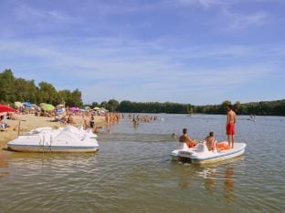 Luxury Villa in France with Pool Villa in Pays de la Loire