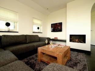 Spa Villa by Salland Forest Villa in Overijssel (province)