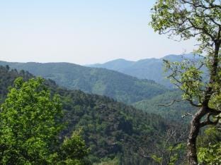 Cevennes Stone Retreat Vacation rental in Auvergne-Rhône-Alpes