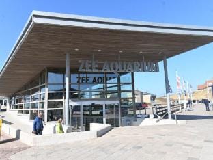 Cozy vacation home near the sea Vacation rental in Egmond aan Zee