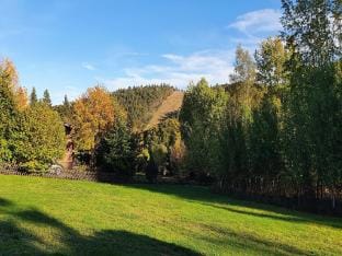 Holiday home with terrace near the ski area Vacation rental in Willingen