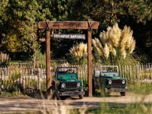 Restyled villa with sauna, near a nature reserve Villa in Weert
