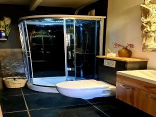 Atelier house with hot tub Vacation rental in Drenthe (province)