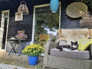 Atelier house with hot tub Vacation rental in Drenthe (province)