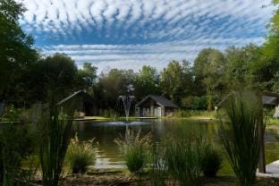 Apartment in Eindhoven near City Center Vacation rental in North Brabant (province)