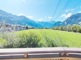 Apartment in Ramsau near Ski Slopes Vacation rental in Tyrol