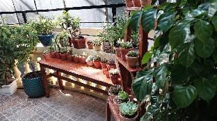 alley homestay_liễu giai Vacation rental in Hanoi