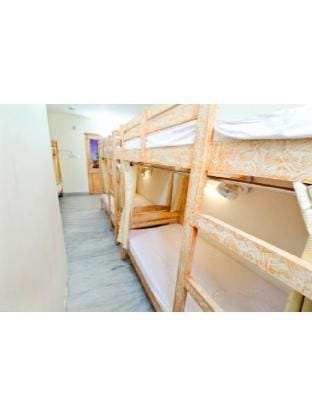 Fourteen feb Hostel (14Feb Hostel)  Apartment in Rajasthan