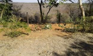 iroCK Lodge Glamping Tent suite Vacation rental in Johannesburg