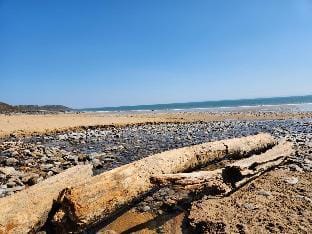 Bay View - 1 Bed Suite - Ocean Breeze - Port Eynon Apartment in Wales