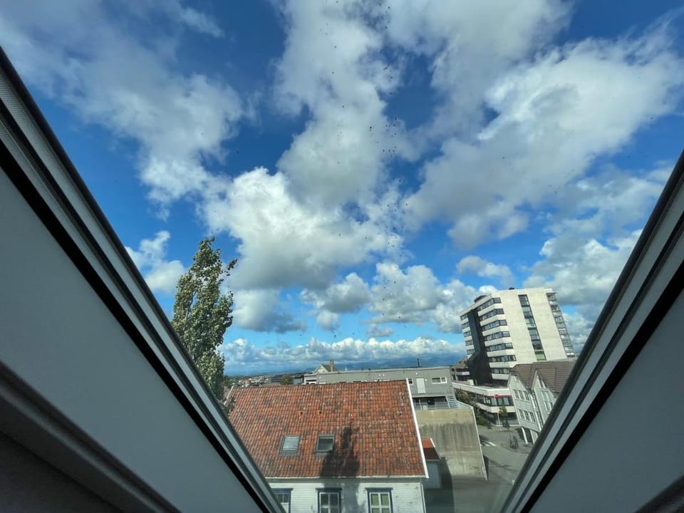 Stunning Hilltop Nest Unparalleled Views - Ideal for Tourists  Business Apartment in Stavanger