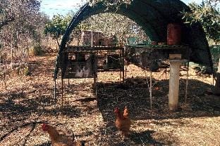 Cretan Rural Stay in Private Olive Grove Cottage Vacation rental in Crete