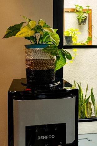 Lil Beag House Vacation rental in North Kuta