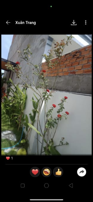 TRANG DOAN’S HOMESTAY  Vacation rental in Phan Thiet