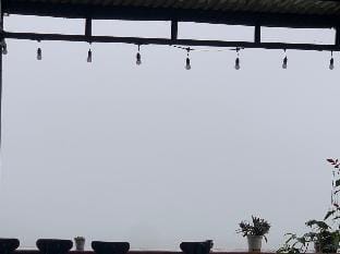 Rừng Phố Homestay and coffee Vacation rental in Vietnam
