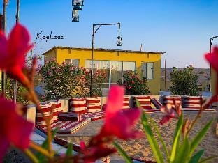 Golden Palm Oasis Camp Vacation rental in Oman
