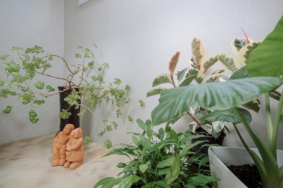 Jeonju Hanok Village Artist’s House Sigan Moonui Bed and Breakfast in South Korea