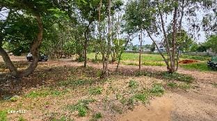 Farm Cottage close to Sea beach Vacation rental in Visakhapatnam