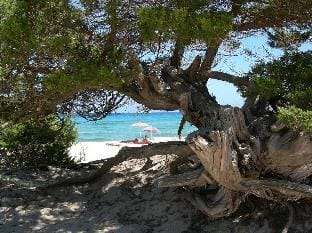 Stunning Residence Bouganvillage Bedroom numn1315 Apartment in Sardinia
