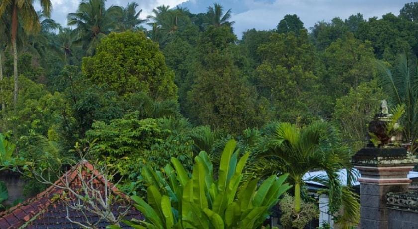 Desa Hostel Hostel in Bali