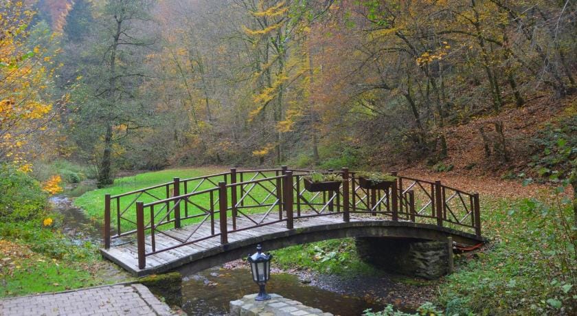 Historic Mill with Sauna Vacation rental in Wallonia, Belgium