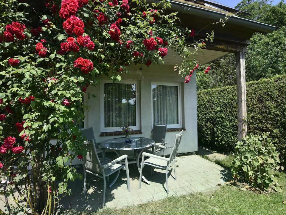 Ferienhaus nahe Ostsee und Wald Vacation rental in Mecklenburg-Vorpommern, Germany