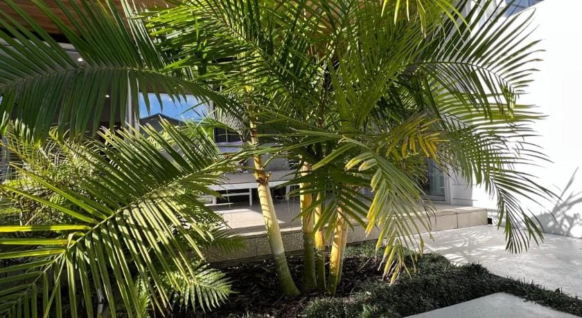 Okahu Bay Villas Apartment in Auckland
