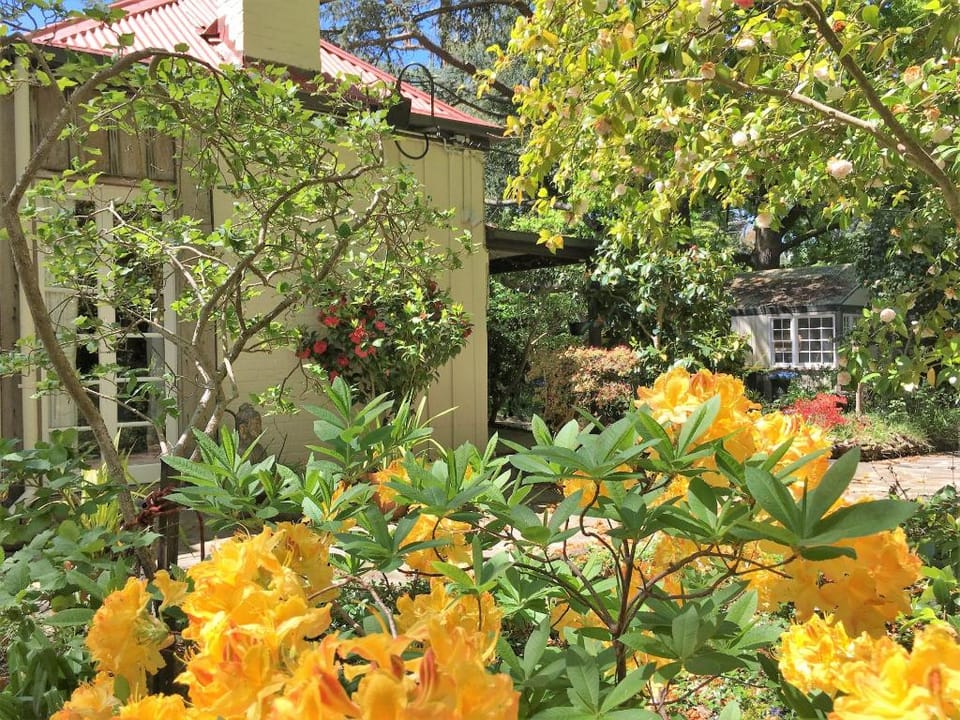 Adelaide Hills Camellia Cottage + Wifi Apartment in Stirling