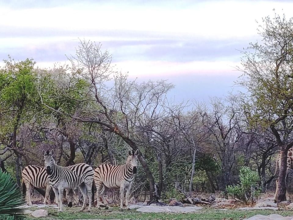 Skurwebank Lodge - No LoadShedding! Vacation rental in South Africa