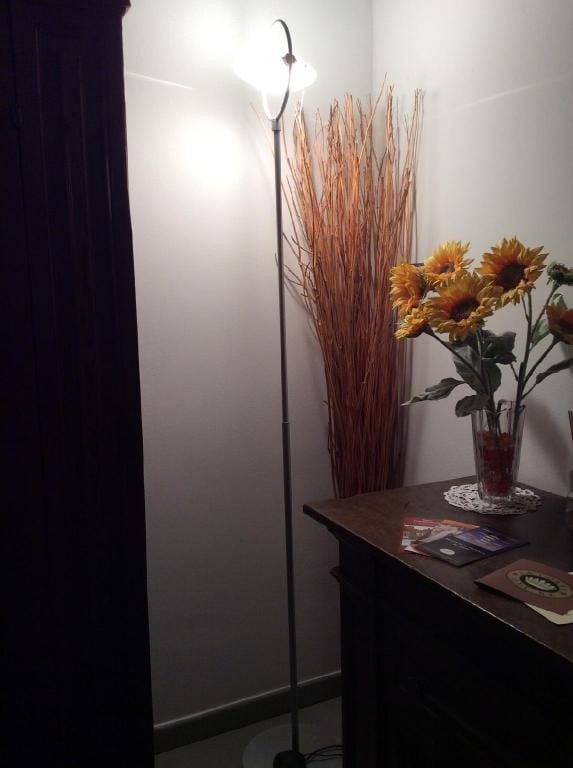 Superior king room: "Mecenate" Apartment in Arezzo