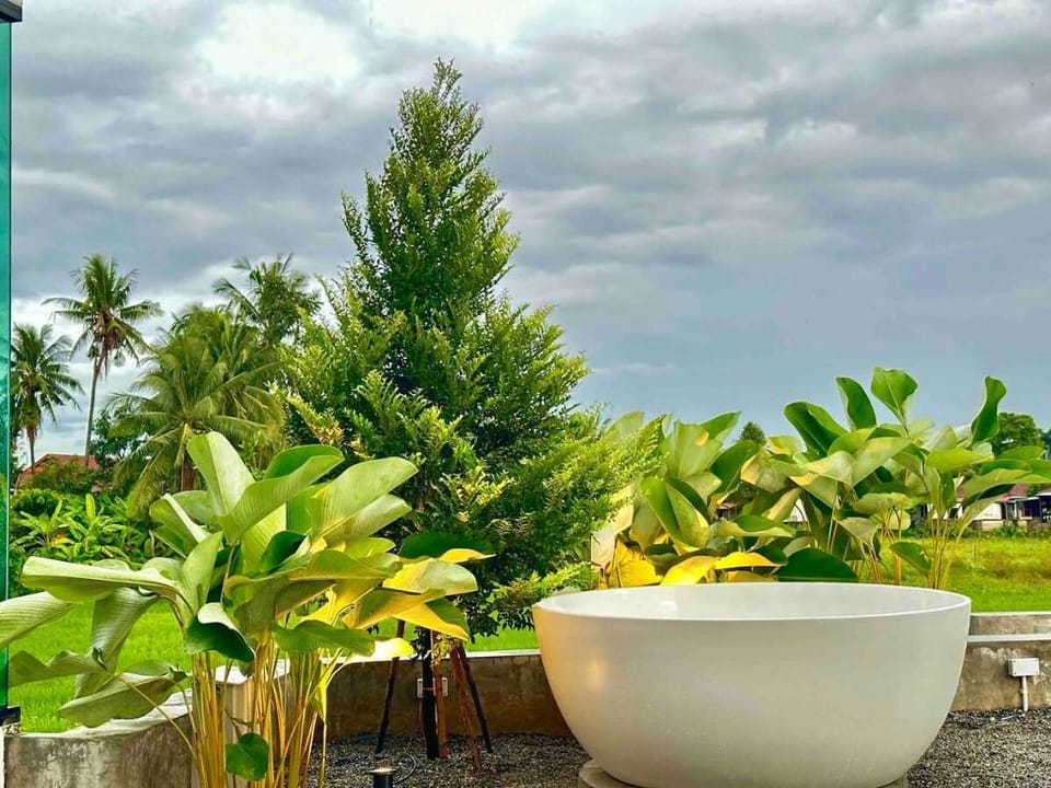 The Rice Villas วิวทุ่งนาภูเขา2king bed/hotBathtub Villa in Thailand