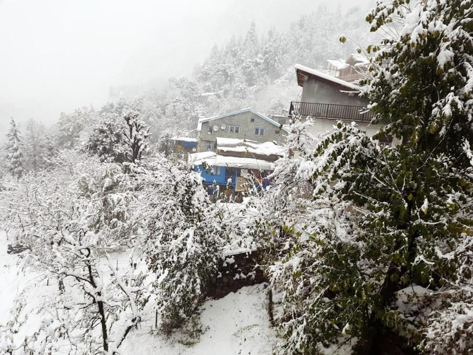 Costel Vista | Manali | Vashist Apartment in Himachal Pradesh
