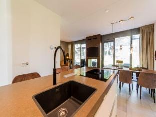 Luxury villa 4km from Maastricht Vacation rental in Maastricht