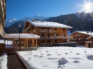 Chic Chalet-Style Apartment Apartment in La Clusaz