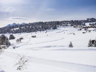 Chalet in French Alps with Premium Comfort Apartment in Haute-Savoie