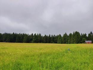 Thuringian Forest House Vacation rental in Thuringia, Germany