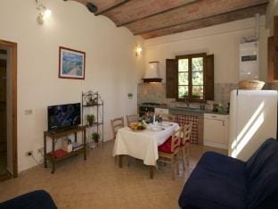 Farmhouse in Tuscany near Siena  Hot Springs Vacation rental in Tuscany