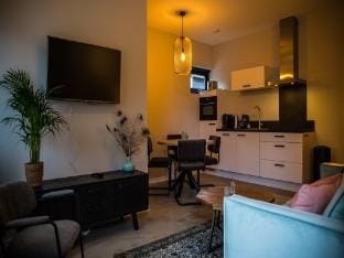 Tasteful apartment close to the beach Apartment in Oostkapelle