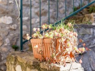 Vineyards  Village Stay Vacation rental in Occitanie