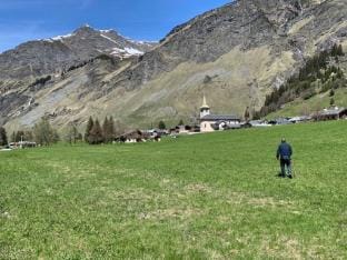 Prestigious chalet with views in Vanoise Vacation rental in Peisey-Nancroix