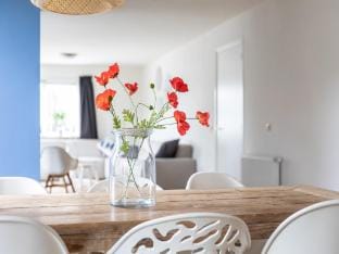 Holiday Home in Nes near Vleijen Area Vacation rental in Nes