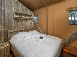 Safari Tent in Eindhoven near Nature Park Luxury tent in Limburg (province)