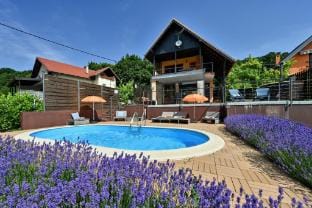 Jura's Wellness House Apartment in Slovenia