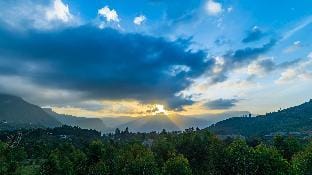 FOOD FOREST KANTHALLOOR Farm Stay in Kerala