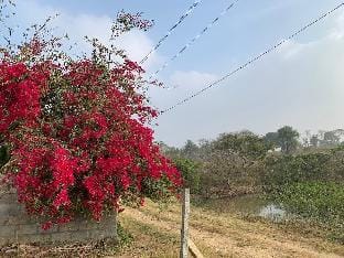 Sattva Farmstay - Peaceful rhythms of farm life! Vacation rental in Tamil Nadu