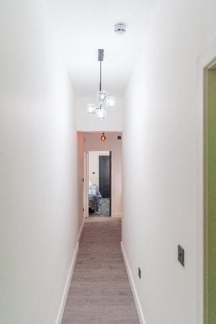 Hamilton Apartments  Apartment in Leeds